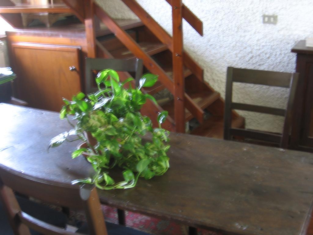 B&B Bosco Fiorito Malgesso Buitenkant foto