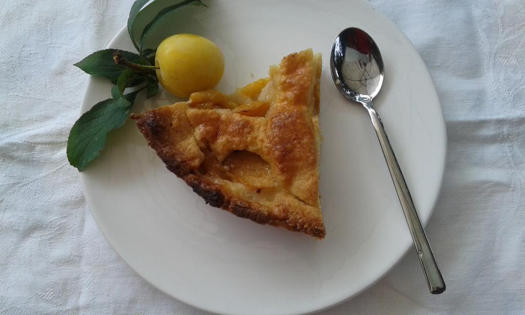 B&B Bosco Fiorito Malgesso Buitenkant foto